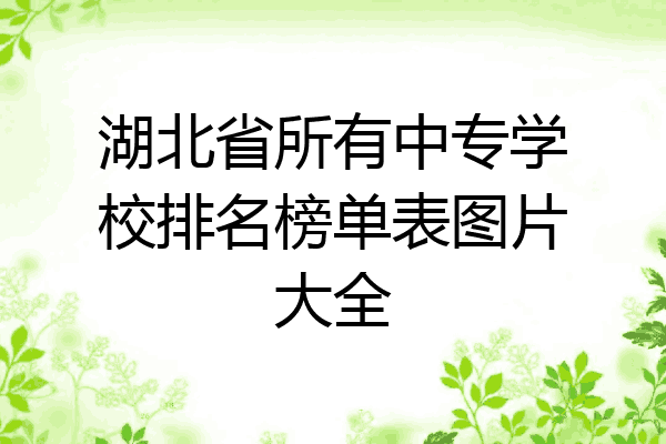 湖北省所有中专学校排名榜单表图片大全