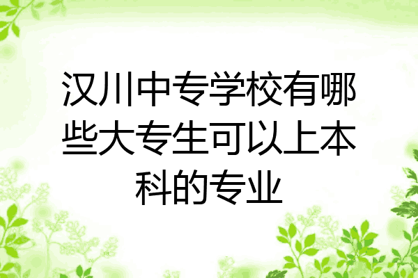 汉川中专学校有哪些大专生可以上本科的专业