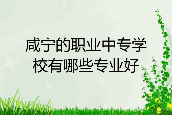 咸宁的职业中专学校有哪些专业好
