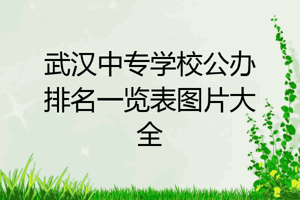 武汉中专学校公办排名一览表图片大全