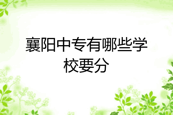 襄阳中专有哪些学校要分