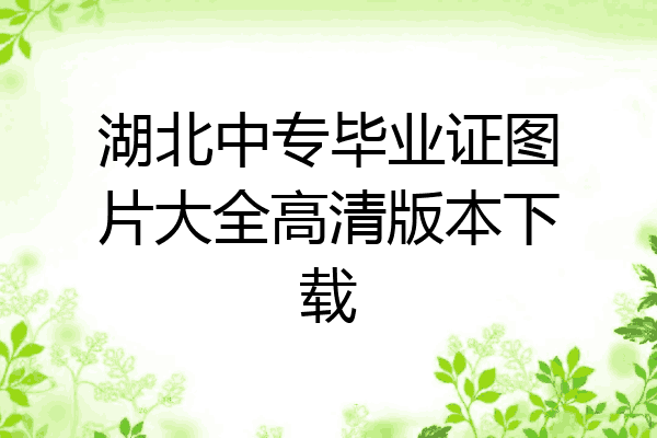 湖北中专毕业证图片大全高清版本下载