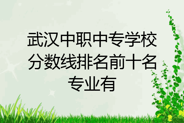 武汉中职中专学校分数线排名前十名专业有