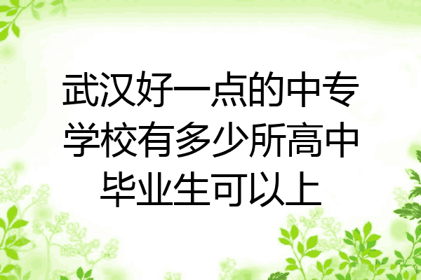武汉好一点的中专学校有多少所高中毕业生可以上