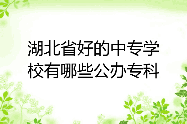 湖北省好的中专学校有哪些公办专科