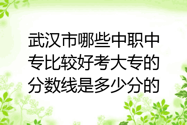 武汉市哪些中职中专比较好考大专的分数线是多少分的
