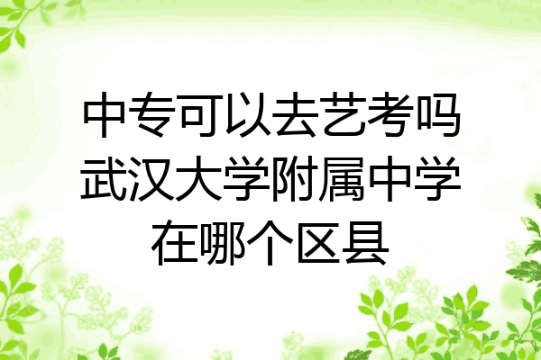 中专可以去艺考吗武汉大学附属中学在哪个区县