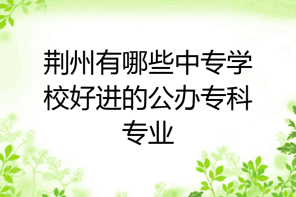 荆州有哪些中专学校好进的公办专科专业