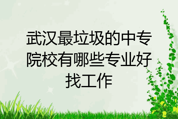 武汉最垃圾的中专院校有哪些专业好找工作