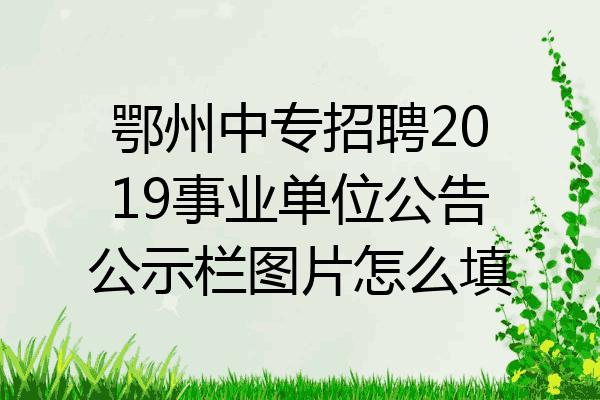 鄂州中专招聘2019事业单位公告公示栏图片怎么填