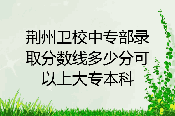 荆州卫校中专部录取分数线多少分可以上大专本科