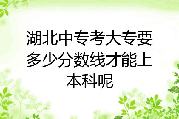 湖北中专考大专要多少分数线才能上本科呢