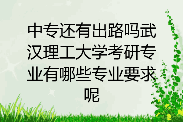 中专还有出路吗武汉理工大学考研专业有哪些专业要求呢