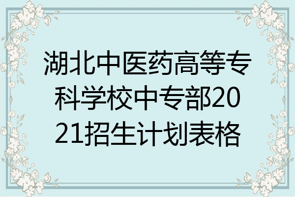 湖北中医药高等专科学校中专部2021招生计划表格