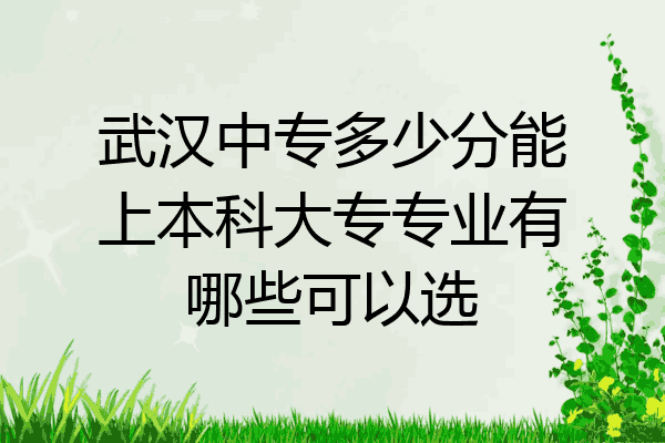 武汉中专多少分能上本科大专专业有哪些可以选