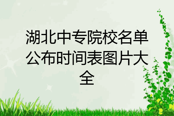 湖北中专院校名单公布时间表图片大全