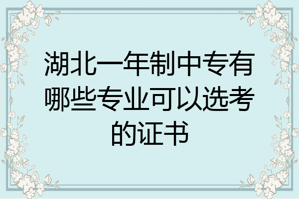 湖北一年制中专有哪些专业可以选考的证书