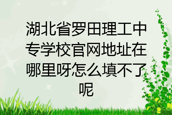 湖北省罗田理工中专学校官网地址在哪里呀怎么填不了呢