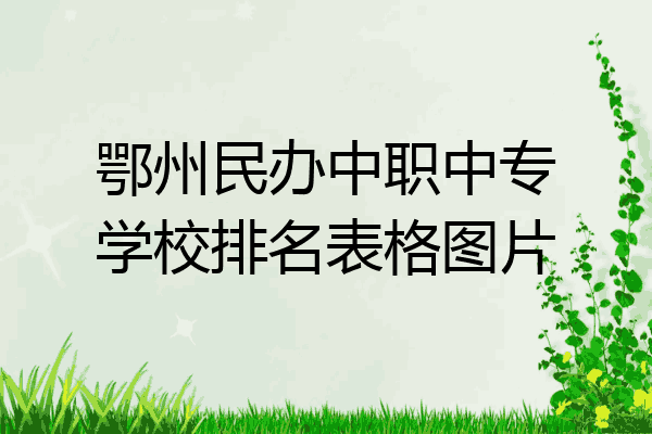 鄂州民办中职中专学校排名表格图片