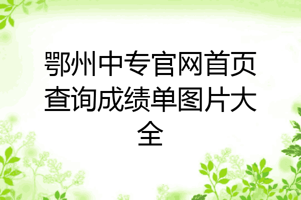 鄂州中专官网首页查询成绩单图片大全