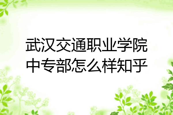 武汉交通职业学院中专部怎么样知乎