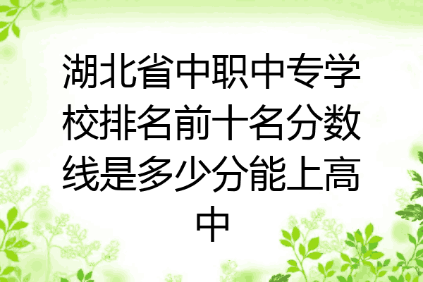 湖北省中职中专学校排名前十名分数线是多少分能上高中