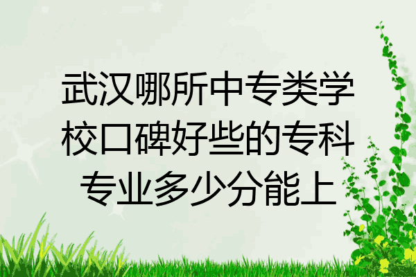 武汉哪所中专类学校口碑好些的专科专业多少分能上