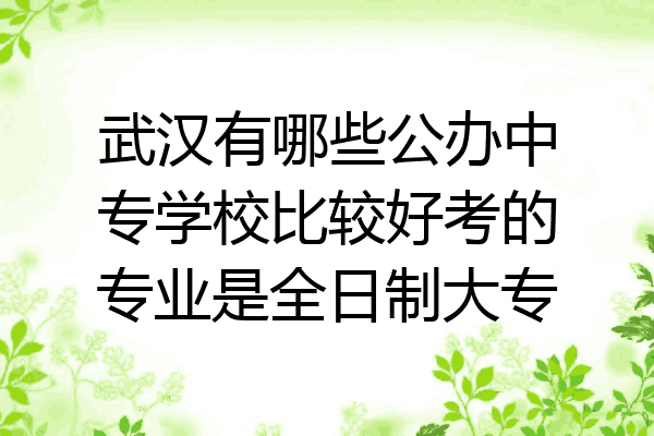 武汉有哪些公办中专学校比较好考的专业是全日制大专