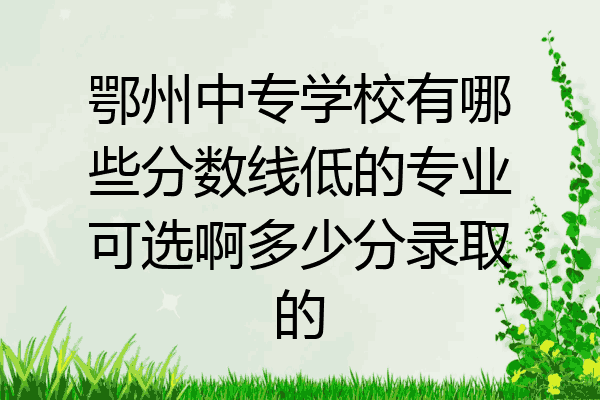 鄂州中专学校有哪些分数线低的专业可选啊多少分录取的