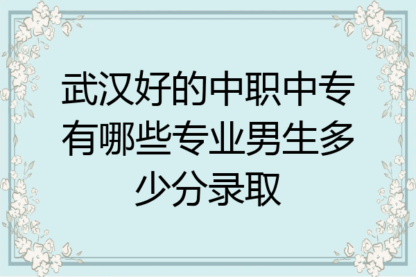 武汉好的中职中专有哪些专业男生多少分录取