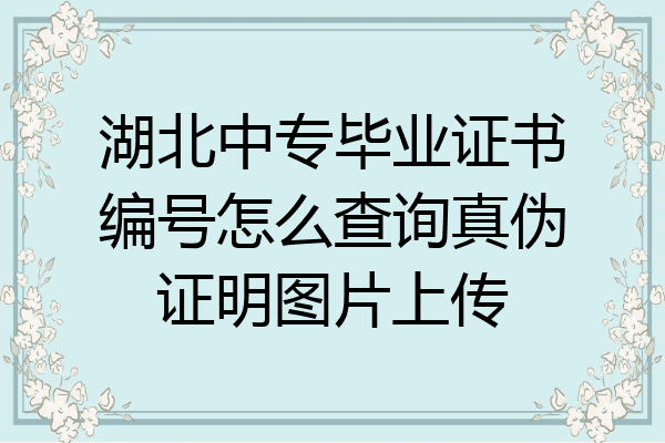 湖北中专毕业证书编号怎么查询真伪证明图片上传