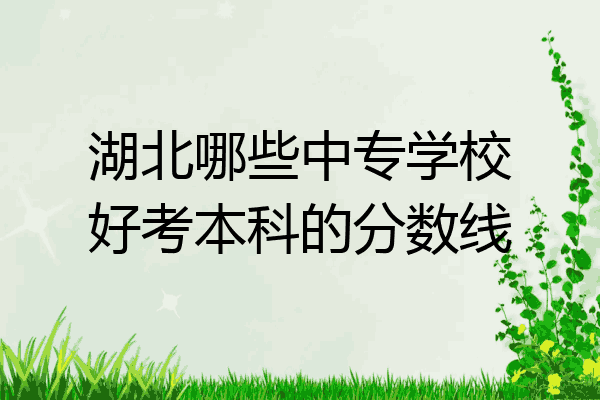 湖北哪些中专学校好考本科的分数线
