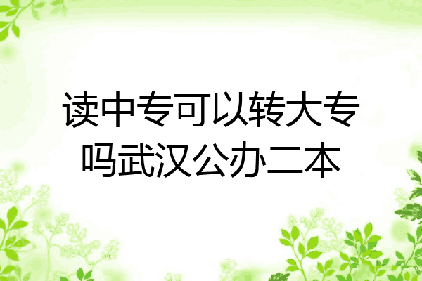 读中专可以转大专吗武汉公办二本