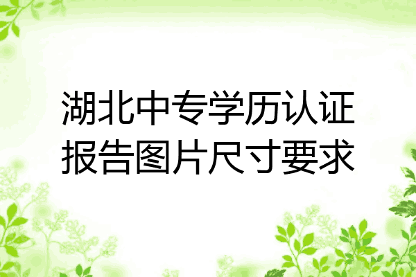 湖北中专学历认证报告图片尺寸要求