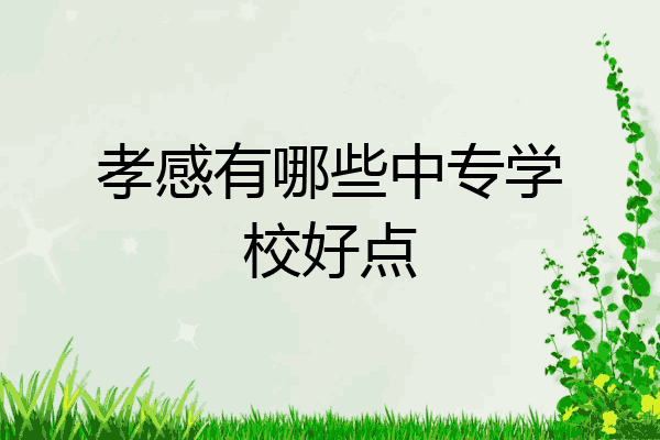 孝感有哪些中专学校好点