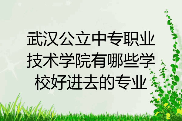 武汉公立中专职业技术学院有哪些学校好进去的专业