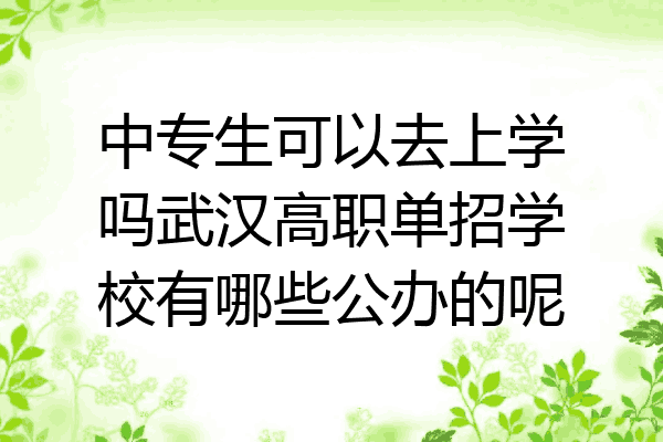 中专生可以去上学吗武汉高职单招学校有哪些公办的呢