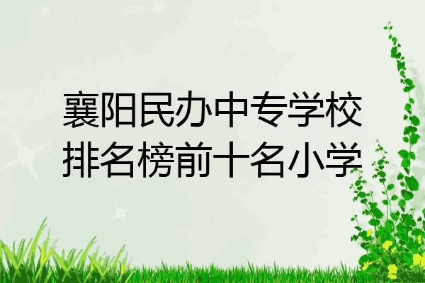 襄阳民办中专学校排名榜前十名小学