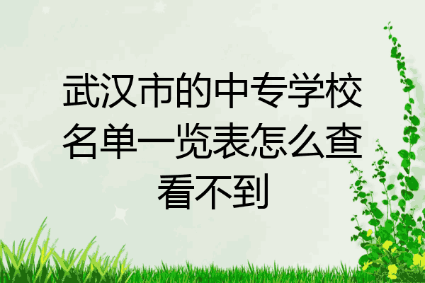 武汉市的中专学校名单一览表怎么查看不到