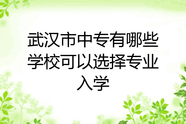 武汉市中专有哪些学校可以选择专业入学