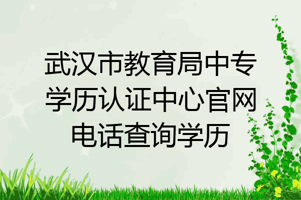 武汉市教育局中专学历认证中心官网电话查询学历
