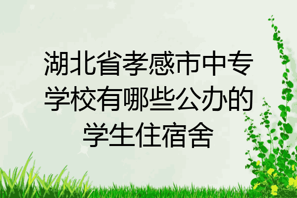 湖北省孝感市中专学校有哪些公办的学生住宿舍
