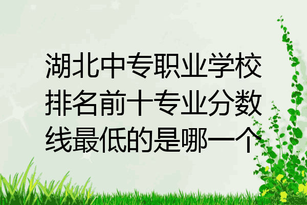 湖北中专职业学校排名前十专业分数线最低的是哪一个