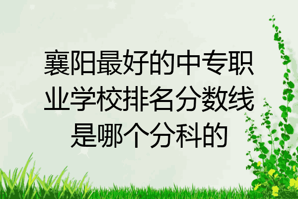 襄阳最好的中专职业学校排名分数线是哪个分科的