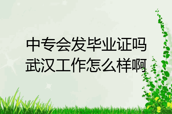 中专会发毕业证吗武汉工作怎么样啊