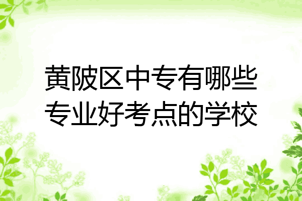 黄陂区中专有哪些专业好考点的学校
