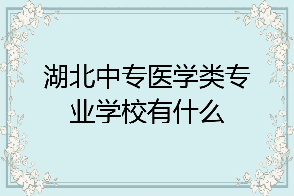 湖北中专医学类专业学校有什么