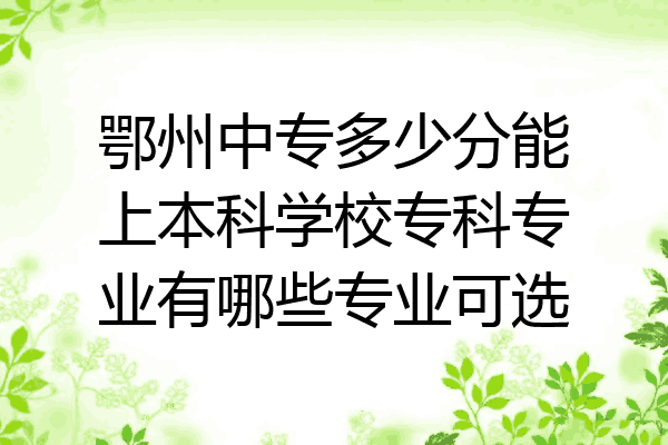 鄂州中专多少分能上本科学校专科专业有哪些专业可选