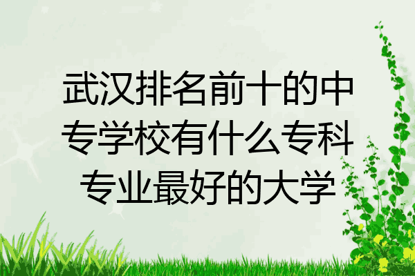 武汉排名前十的中专学校有什么专科专业最好的大学