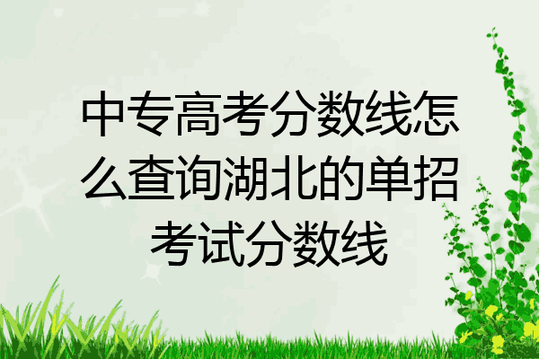 中专高考分数线怎么查询湖北的单招考试分数线